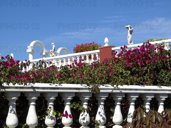 White balustrade with pink flowers and architecture in the background on a sunny day, puerto de la cruz, tenerife, spain