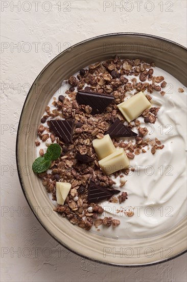 Yogurt with chocolate muesli, breakfast, close-up, fork on top, no people