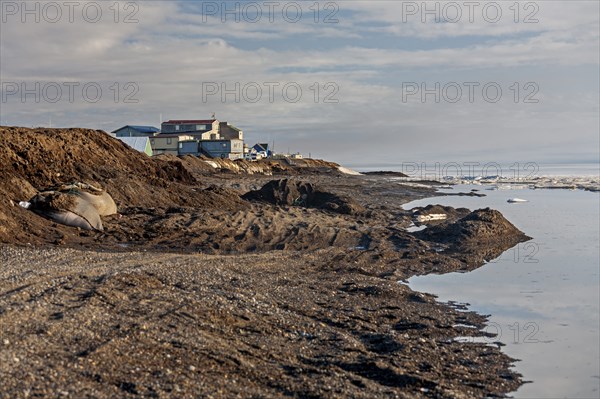 Thawing permafrost on the Arctic coast, Beaufort Sea, Barrow, Alaska, USA, North America