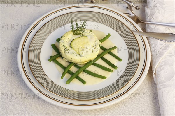 Swabian cuisine, oven-baked pike-perch on princess beans with lemon sauce, fish dish, pike-perch fillet, courgette, green beans, dill, starter, from the oven, casserole, arranged on a plate, traditional cuisine reinterpreted, food photography, studio, Germany, Europe