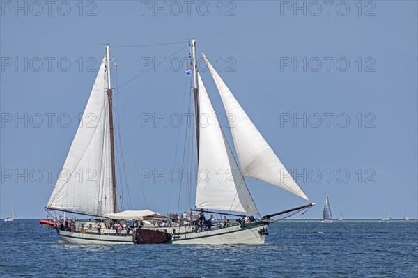 Sailing ship Elegant, Kieler Woche, Kiel Fjord, Kiel, Schleswig-Holstein, Germany, Europe