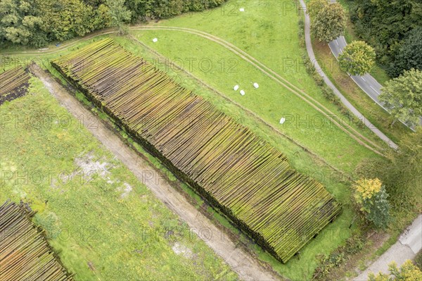 Aerial view of a timber yard, tree trunks get conservated by sprinkling water on the wood, Germany, Europe