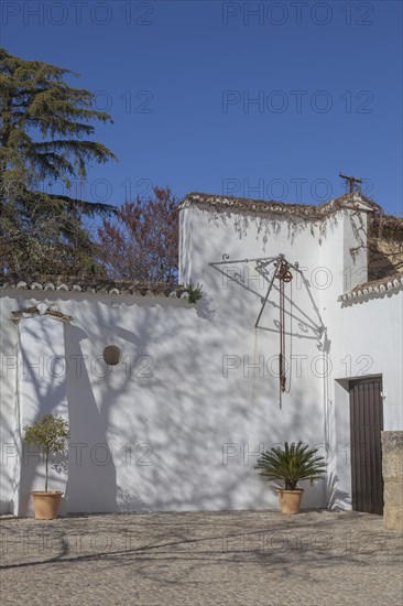 White Mediterranean-style building wall with plants in pots and shade on the ground under a clear blue sky, Bullring, Ronda, Andalusia, Spain, Europe