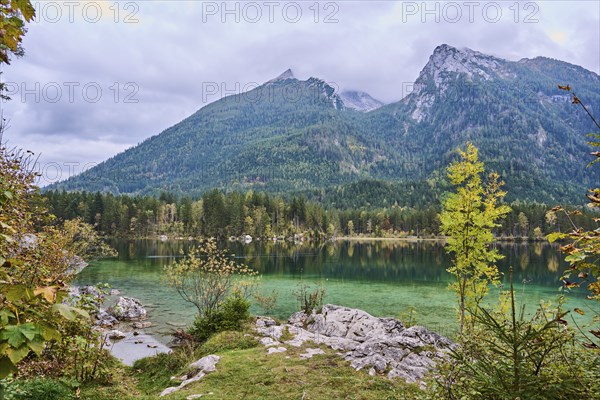 Hintersee in autumn colours, Ramsau, Berchtesgaden National Park, Berchtesgadener Land district, Upper Bavaria, Bavaria, Germany, Europe