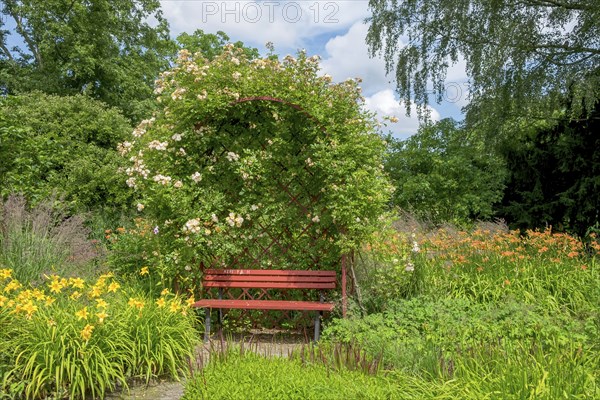 Red bench in the district educational garden, Burgsteinfurt, Münsterland, North Rhine-Westphalia, Germany, Europe