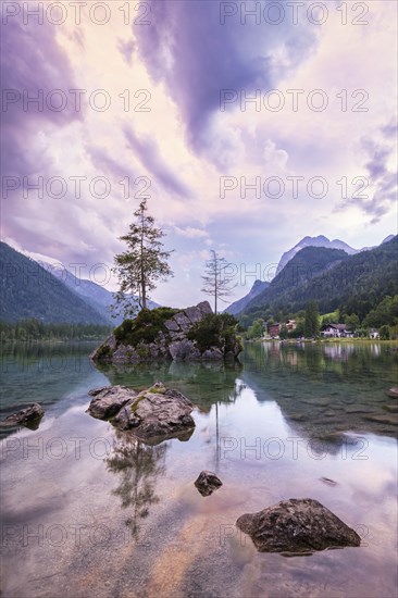 Hintersee with rocks and trees in the foreground, surrounded by mountains after sunset with dramatic cloudy sky, Ramsau, Berchtesgaden National Park, Berchtesgadener Land, Upper Bavaria, Bavaria, Germany, Europe