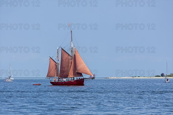 Sailing ship Platessa, sailing boat, Laboe, Kieler Woche, Kiel Fjord, Kiel, Schleswig-Holstein, Germany, Europe