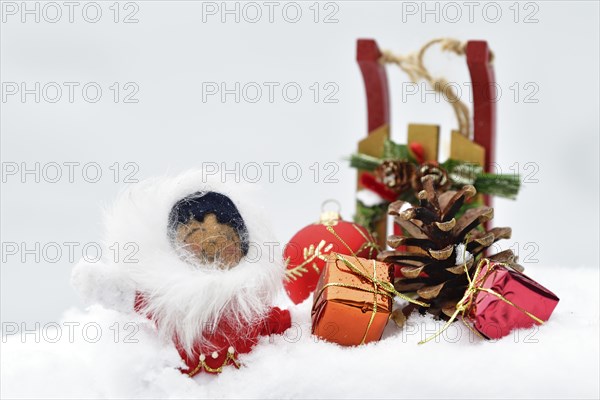 Christmas decoration, Inuit with sleigh and Christmas tree ball and pine cones and Christmas presents lying in the snow