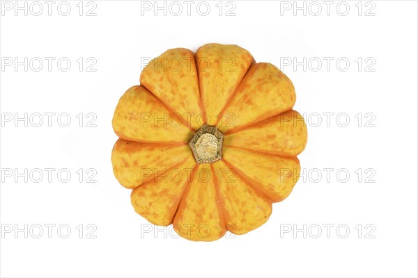 Top view of orange and yellow Carnival squash on white background