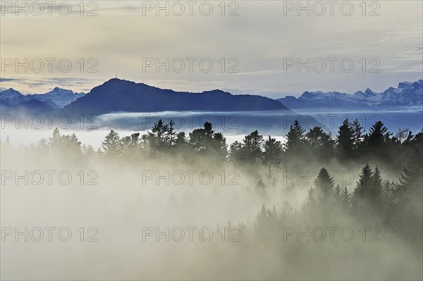 Forest shrouded in fog, the Rigi in the background, Horben viewpoint, Lindenberg, Freiamt, Canton Aargau, Switzerland, Europe