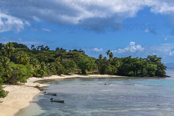 White sand beach, Taveuni, Fiji, South Pacific, Oceania