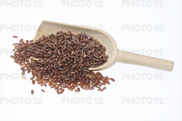 Red rice, Camargue rice from France, rice variety with a red bran layer, usually offered as brown rice, wholemeal product, the rice gets its red colour from the anthocyanin content in its bran layer