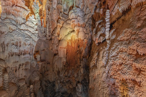 The Aven Armand chasm 100 meters underground where the largest known stalagmite in the world is 30 meters high. Hures-la-parade, Lozere, France, Europe