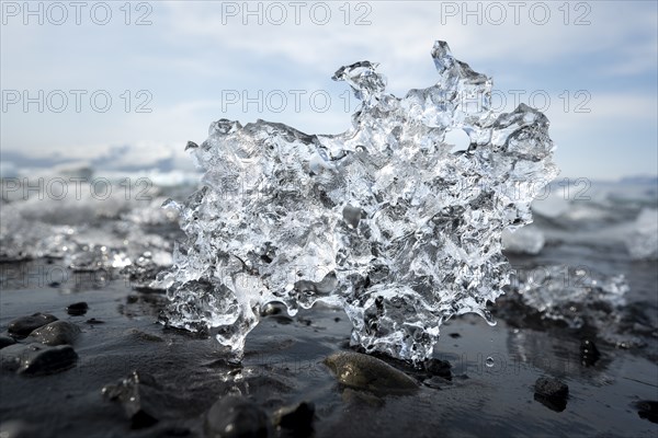 Ice, piece of ice on black pebble beach, Jökulsárlón glacier lagoon, glacial lake, southern edge of Vatnajökull, southeast Iceland, Iceland, Europe