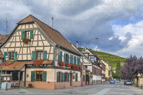 Street with historical houses in Ribeauville, Alsace, France, Europe