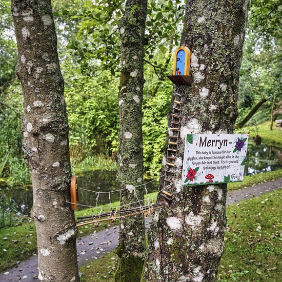 Fairy house, house of a fairy, fairy garden with suspension bridge and ladder in a tree, Irish National Stud and Gardens, The Irish National Stud & Gardens, Tully, Kildare, Ireland, Europe