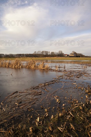 The former Schokland Island in the Dutch Noordoostpolder has been placed on the UNESCO World Heritage List