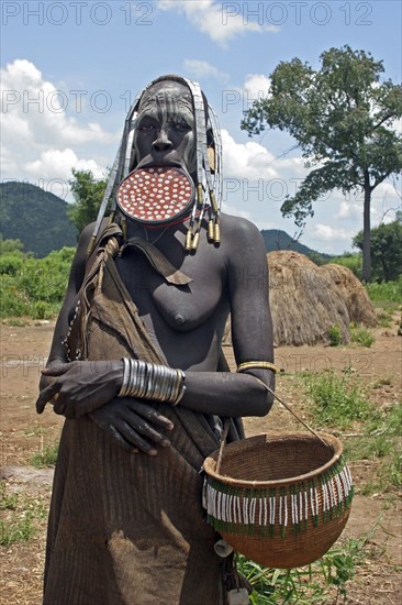 Close-up of a Mursi tribal woman with large clay plate in pierced lower lip, Omo Valley, Ethiopia, East Africa, Africa