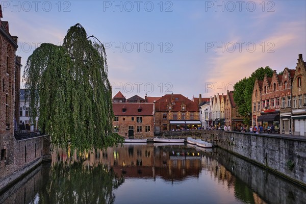 Bruges Rozenhoedkaai old houses along canal with tree in the evening. Famous place of Brugge, Belgium, Europe