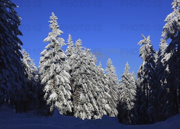 Winter landscape in the Fichtelgebirge, Bayreuth district, Upper Franconia, Bavaria, Germany, Europe