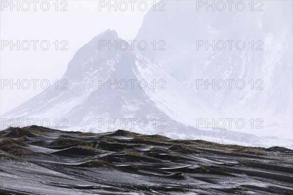 Black sand dunes with reed remains, behind them snowy rocky slopes of Klifantindur, near Vestrahorn, near Höfn, Sudausturland, Iceland, Europe