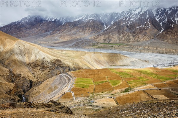 Fields in Spiti Valley in Himalayas. Himachal Pradesh, India, Asia