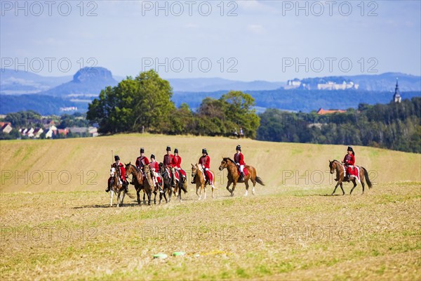 Battle of Maxen