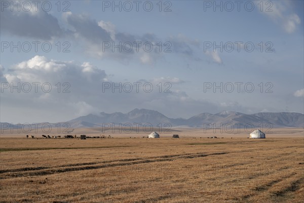 Yurts at Song Kul in autumn, Moldo Too Mountains, Naryn region, Kyrgyzstan, Asia