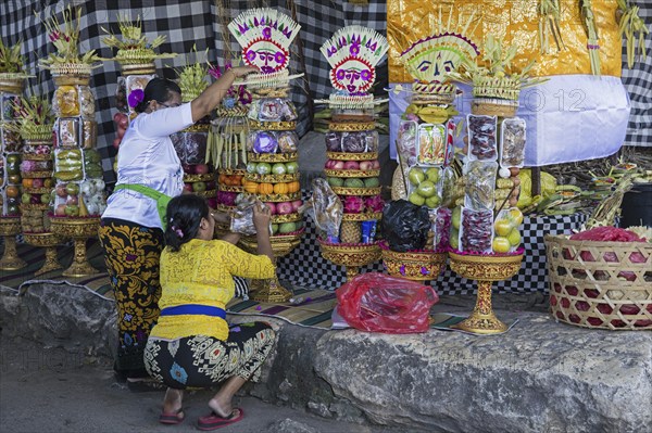 Indonesian women preparing offerings, gebogans for ceremony at the big banyan tree on the island Nusa Lembongan near Bali in Indonesia