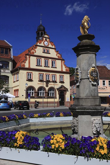 Town Hall and Market Fountain, Bad Rodach, Coburg County, Upper Franconia, Bavaria, Germany, Europe