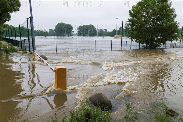 Flood ditch in the Ostragehege