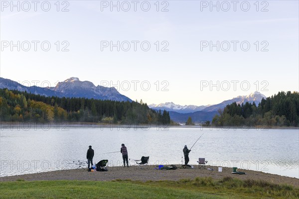 Angler at the Forggensee, Allgäu Alps, near Füssen, Ostallgäu, Bavaria, Germany, Europe