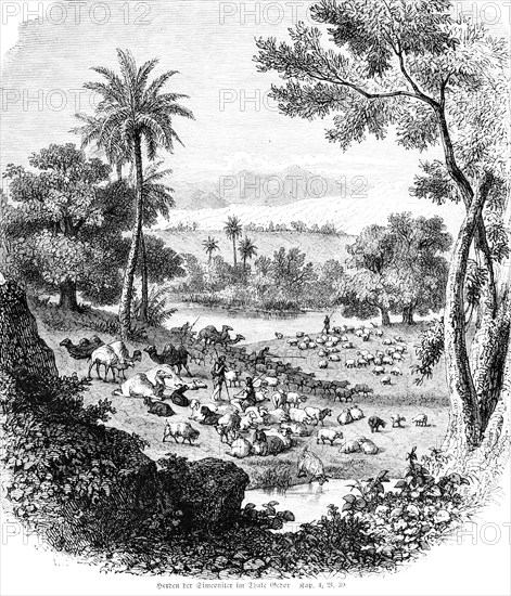 Flocks of the Simeonites in the Valley of Gedor, valley, country sheep, mountains, flock of sheep, shepherd, pasture, morning, camels, lake, palms, Bible, Old Testament, First Book of Chronicles, Chapter 4, Verse 39, historical illustration c. 1850