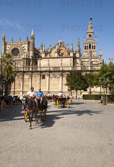 Horse and carriage rides for tourists in the historic central area near the cathedral, Seville, Spain, Europe