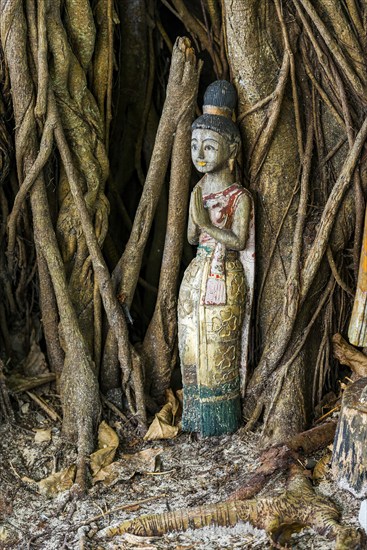 Buddhist figure in front of a tree on Phi Phi Island, wood, carving, wooden figure, Buddhism, faith, praying, praying, sculpture, statue, religion, world religion, icon, female, sculpture, respect, Siam, Asian, history, culture, cultural history, figure, temple, temple figure, idolise, tree, Thailand, Asia