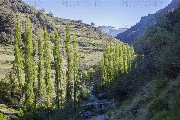 Landscape of the River Rio Poqueira gorge valley, High Alpujarras, Sierra Nevada, Granada Province, Spain, Europe