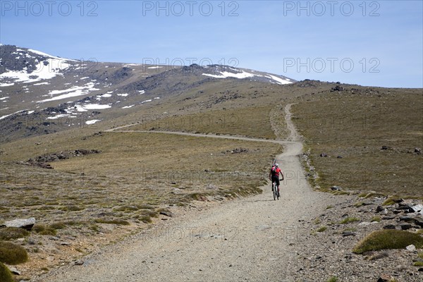 Cycling in the Sierra Nevada Mountains in the High Alpujarras, near Capileira, Granada Province, Spain, Europe