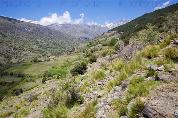 Landscape of the River Rio Poqueira gorge valley, High Alpujarras, Sierra Nevada, Granada Province, Spain, Europe