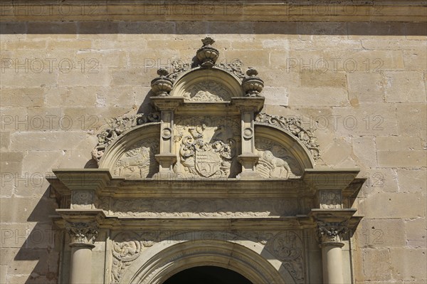 Detail above portal, coat of arms, relief, stone wall, masonry, Hohentübingen Castle, Museum of the University of Tübingen MUT, higher education institution, historical building, place of learning, Renaissance complex built in the 16th century, in the castle courtyard, Eberhard Karls University of Tübingen, Tübingen, Baden-Württemberg, Germany, Europe