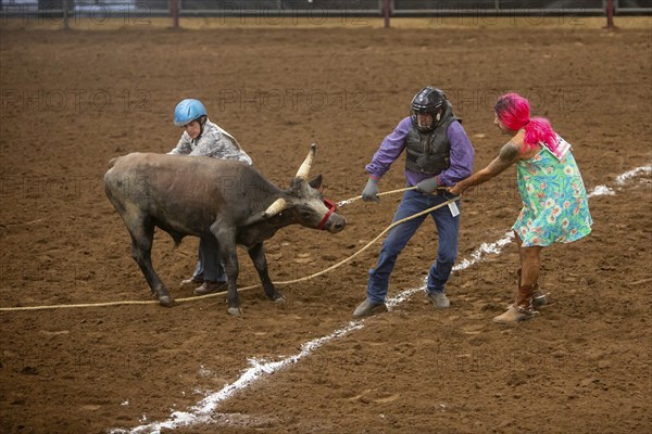 Oklahoma City, Oklahoma, The Great Plains Rodeo, an annual gay rodeo that features traditional rodeo competition while emphasizing the camaraderie of the LGBTQ community. In Wild Drag Racing three people must pull a steer across a while line and then the competitor in drag must ride it back across the line