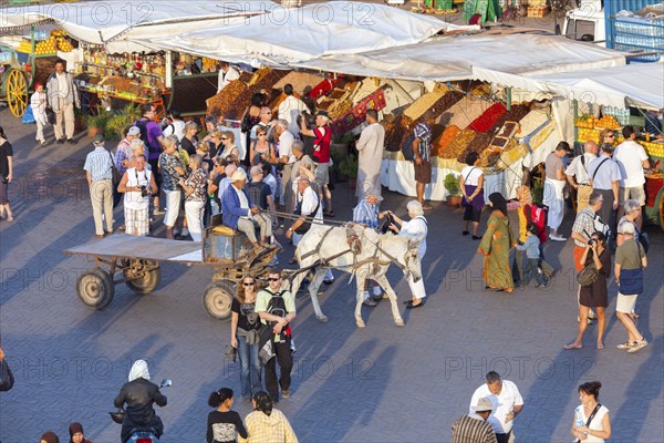 Place Djemaa el Fna Marrakech, Morocco, Africa