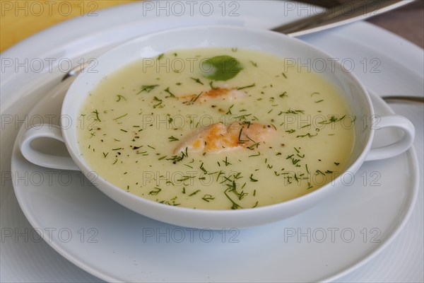 Southern German cuisine, sorrel soup with char, freshwater fish, soup served in soup bowl, herbs, fresh sorrel, blood sorrel, dill, toothpick, savoury, salty, traditional cuisine, food photography, studio, Germany, Europe