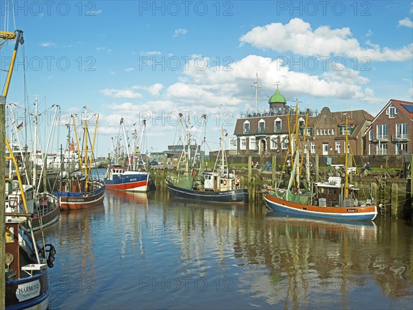 Crab cutter, harbour, Neuharlingersiel, East Frisia, Germany, Europe