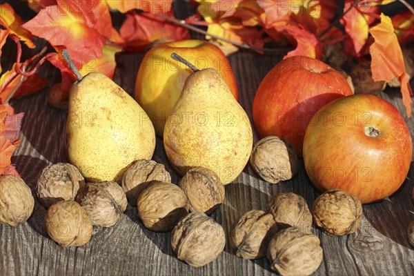 Apples, pears and walnuts on a rustic wooden table as an autumnal motif