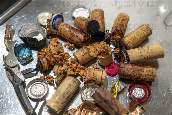 Wine cork, extracted from old, overaged wine bottles, partly crumbly, softened, rotten