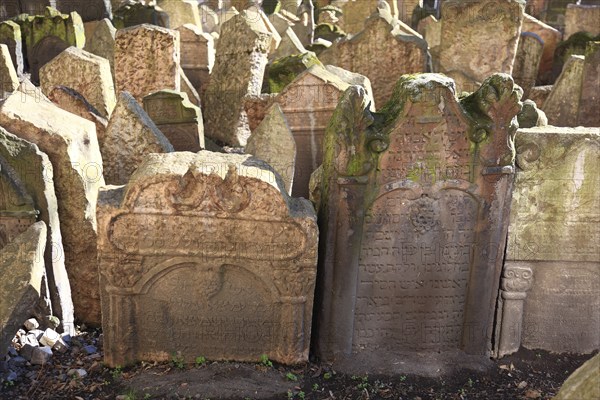 The Old Jewish Cemetery in the Josefov district is one of the most historically significant Jewish cemeteries in Europe. It contains over 12, 000 gravestones and presumably the remains of 100, 000 people, Prague, Czech Republic, Europe