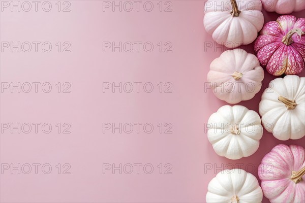 Top view of pink and white pumpkins on side of pastel pink background with copy space. Generative Ai, AI generated