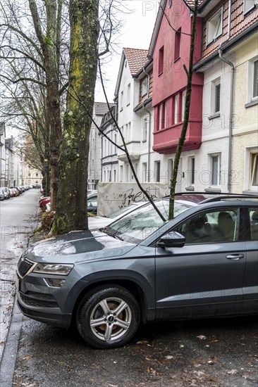 North Rhine-Westphalia, Germany, storm damage, a good 4 metre long branch was broken off by the storm during storm Zoltan and smashed through the windscreen of a parked vehicle, Essen, Europe