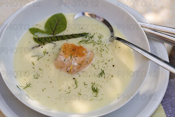 Southern German cuisine, sorrel soup with char, freshwater fish, soup arranged in a plate, herbs, fresh sorrel, blood sorrel, dill, toothpick, savoury, salty, traditional cuisine, food photography, studio, Germany, Europe