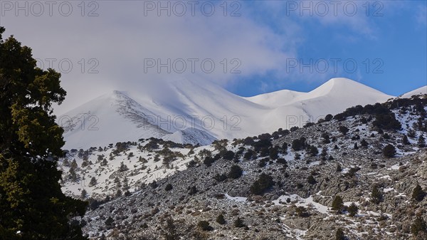 Mountain peak with snow cover, tree in the foreground and partly cloudy sky, Lefka Ori, White Mountains, near Askifou, Sfakia, West Crete, Crete, Greece, Europe